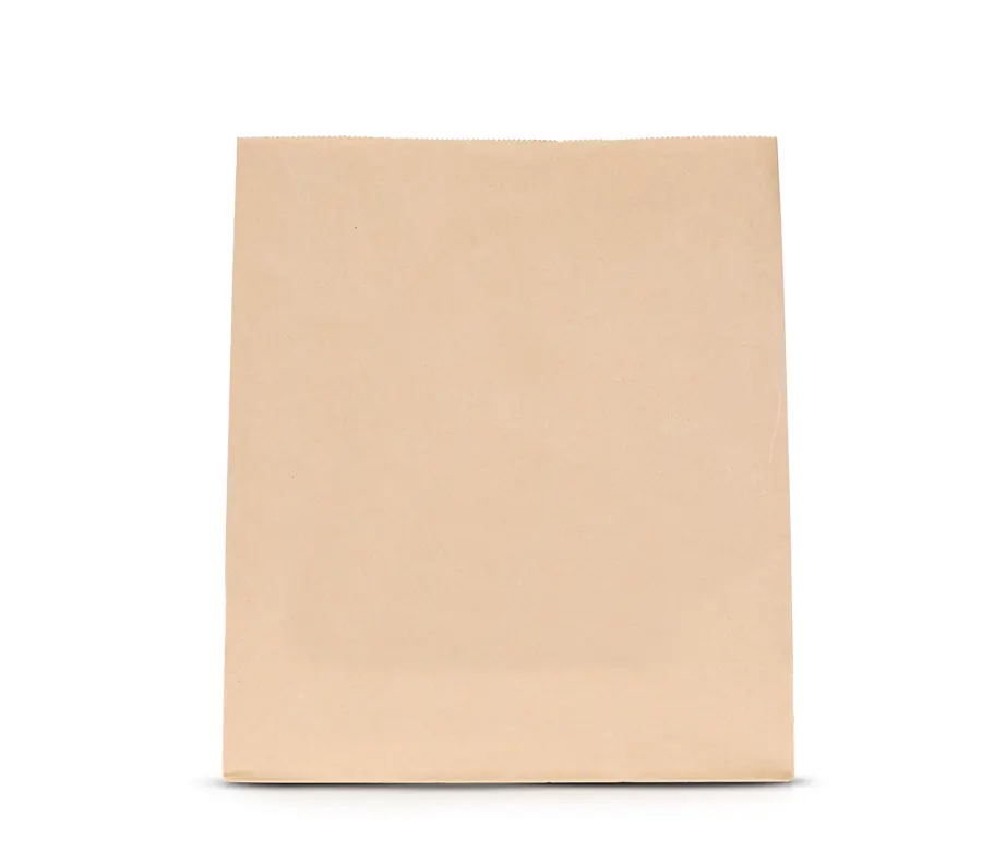 Brown kraft paper bag